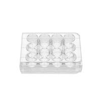 12孔细胞培养板