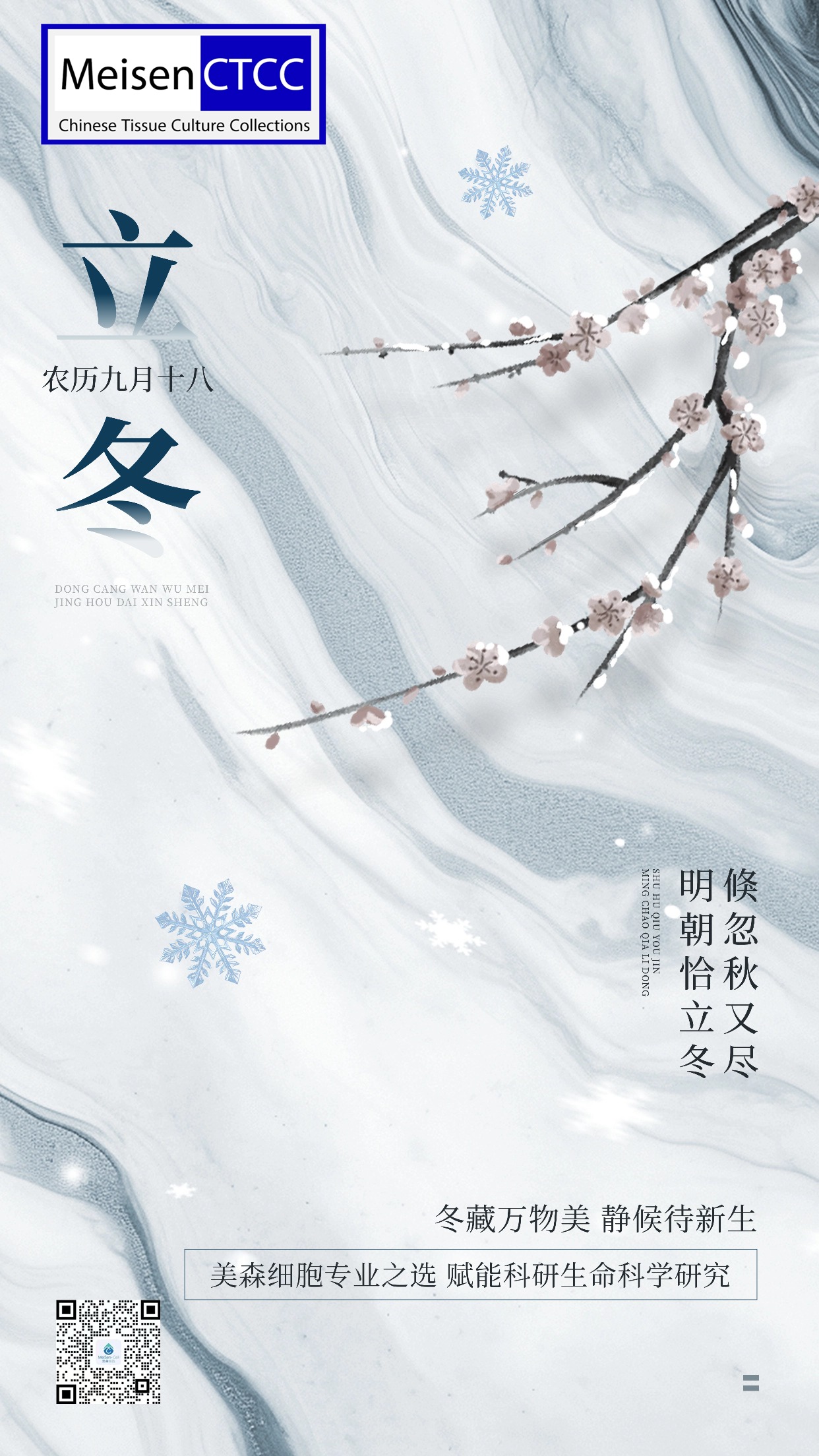 美森细胞-家人们立冬快乐！