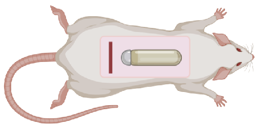 6389743385133664272681129