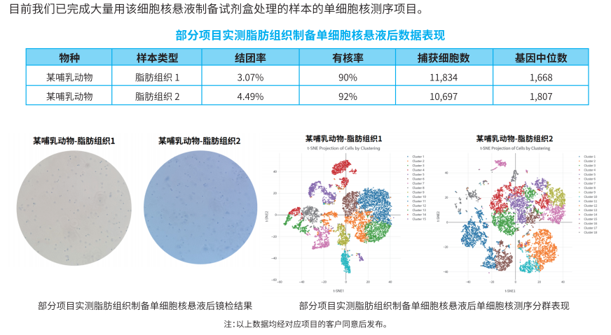 实验秘诀 | 百奥益康脂肪组织细胞核悬液制备试剂盒助力脂肪组织研究