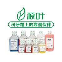 Tris-HCl缓冲液(1mol/L,pH7.5,RNase free)/Tris-HCl缓冲液(1mol/L,pH7.5,RNase free);R21104-500ml
