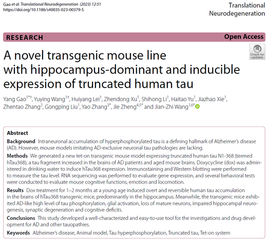 AtaGenix定制anti-tauN368抗体助力hTau368阿尔茨海默病模型研究，揭示截短tau病理机制