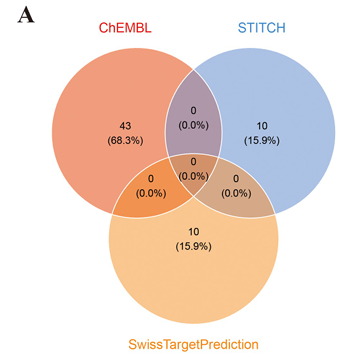 6389811902678281866484353