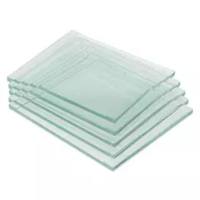 1653310伯乐0.75mm垂直电泳长玻璃板5片/包生命科学耗材Bio-Rad