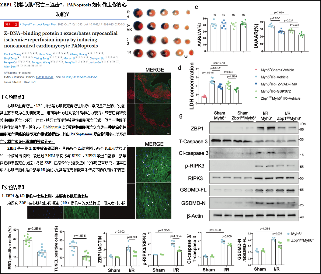 6389802457179994793645770
