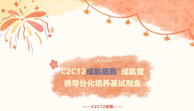 C2C12成肌细胞成肌管诱导分化培养基试剂盒