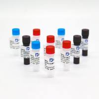 肺炎支原体脱氧核糖核酸 (MP DNA)液体室内质控品（3个浓度）