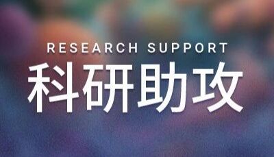 科研助攻 ｜ ADC 定点偶联路径全面盘点∶ mTGase, SrtA, 糖基偶联