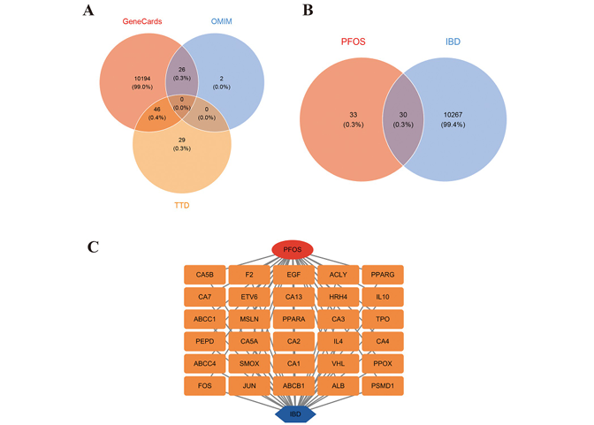 6389811903764226193149697