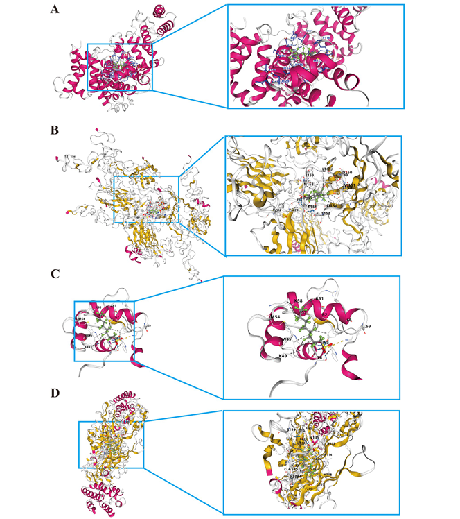 6389811911449846931549886