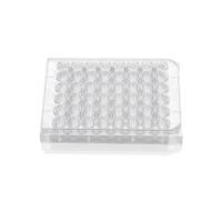 48孔细胞培养板