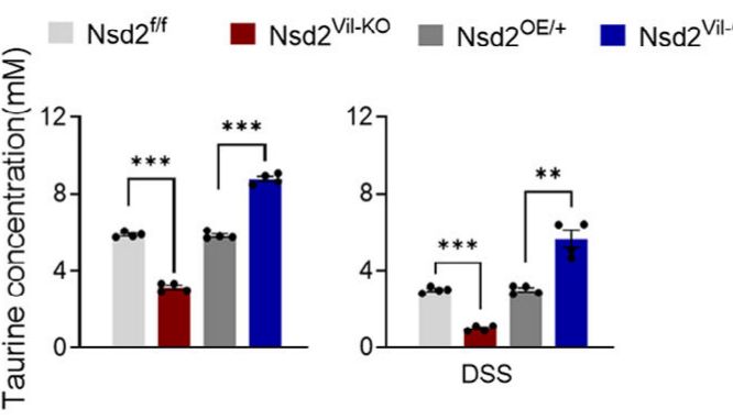 Nature子刊力证：牛磺酸精准检测方案，解锁疾病研究新机制