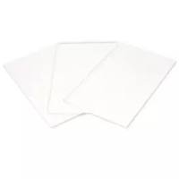 1704085伯乐超厚转印滤纸50张9.5x15.2cm生命科学耗材配件Bio-Rad