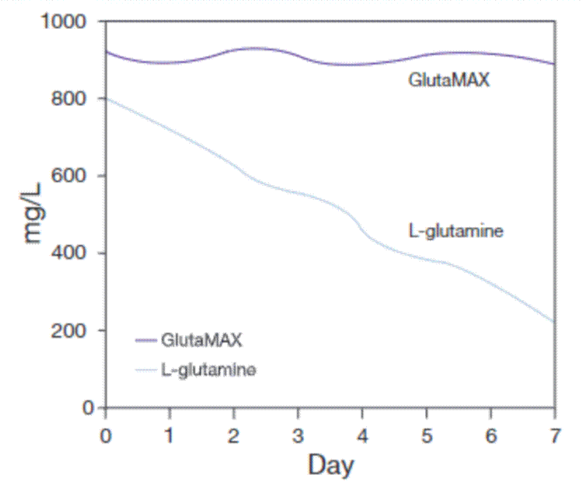 L-谷氨酰胺易降解怎么办？在线等，挺急的！