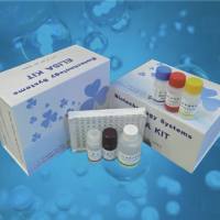 大鼠细胞因子ELISA试剂盒 现货