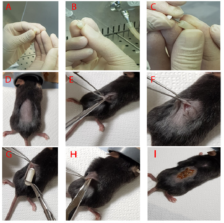 6389743397583200536497180