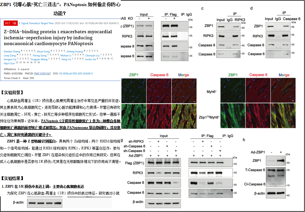 6389802465834714427426158