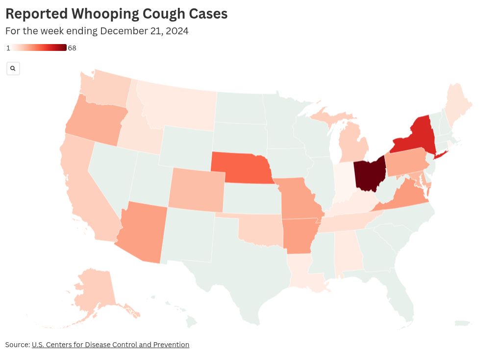 2025 年百日咳（Bordetella pertussis）研究：流行病学、毒力靶点与疫苗展望