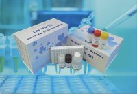 人细胞因子ELISA试剂盒 现货