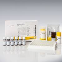 RIDASCREEN® 黄曲霉.毒素 M1 检测试剂盒