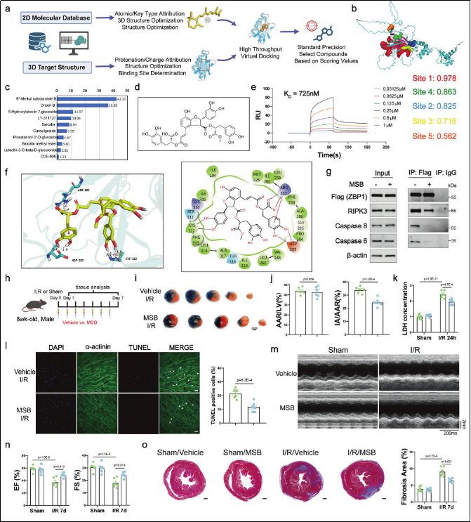 6389802467862894837853380