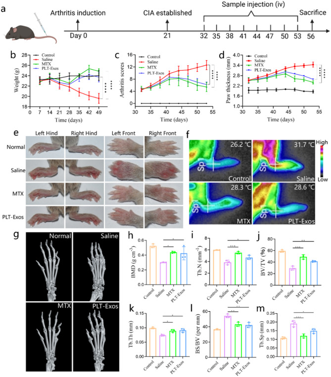 外泌体技术服务 外泌体技术服务