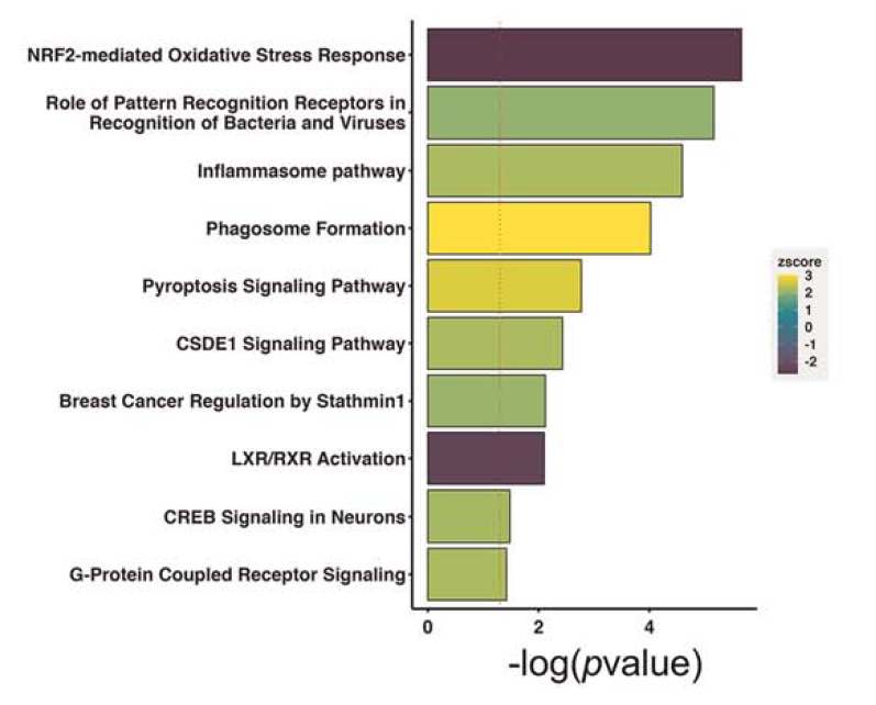 不止信号通路，多个角度解析感染性疾病的致病机理