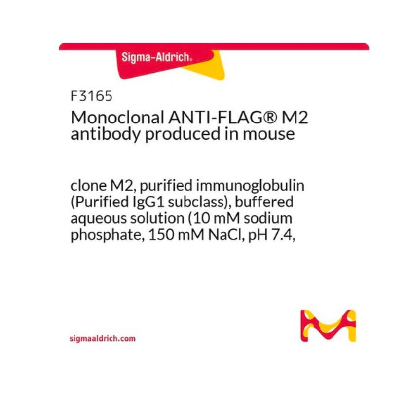 单克隆抗-FLAG® M2 小鼠抗