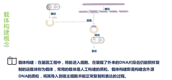 产品细节图片3
