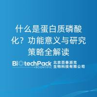 什么是蛋白质磷酸化？功能意义与研究策略全解读