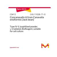 伴刀豆球蛋白A 来源于洋刀豆 (刀豆)..
