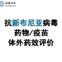 抗新型布尼亚假病毒药物体外细胞水平检测指标EC50值