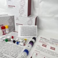 人(Human)脱氢表雄酮S7(DHEA-S7)ELISA检测试剂盒