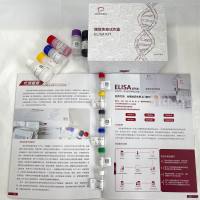 人（Human）脱氢表雄酮(DHEA)ELISA检测试剂盒 