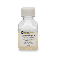 人原代肝细胞培养基-LifeNet品牌