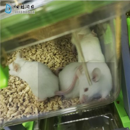 迪福润丝BSL-2转基因DPP4小鼠动物实验室饲养服务（可代购动物）