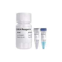BCA蛋白浓度测定试剂盒（BCA Protein Quantification Kit）(E112)