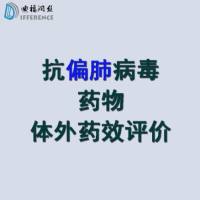 抗偏肺病毒HPMV药物检测体外细胞水平EC50