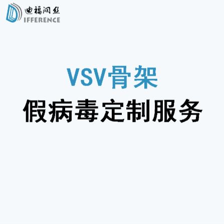 VSV载体骨架假病毒定制服务