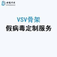 VSV载体骨架假病毒定制服务