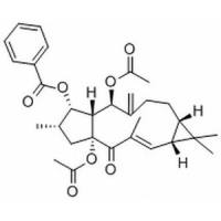 千金子二萜醇二乙酰苯甲酰酯