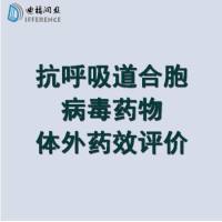 抗呼吸道合胞病毒RSV药物检测体外细胞水平EC50