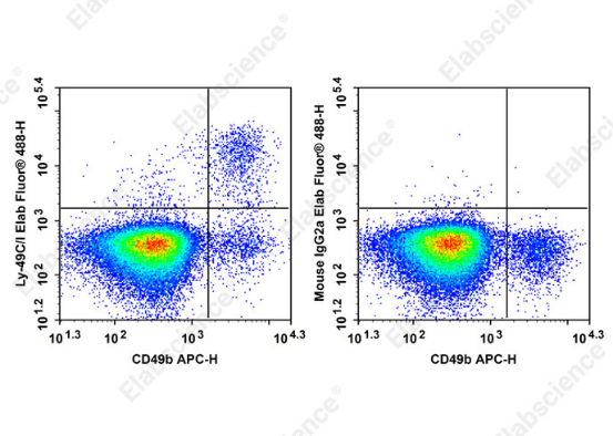 Elabscience 116 支流式抗体上新！解锁流式检测更多可能