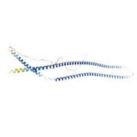 重组人KRT19蛋白|Human KRT19, 245-391aa, His-tag