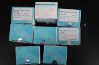 基孔肯雅病毒核酸检测试剂盒（荧光PCR法）