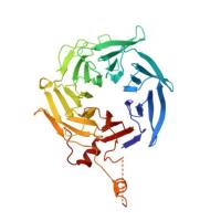 重组人ARPC1B蛋白 | Recombinant Human ARPC1B, 1-372aa