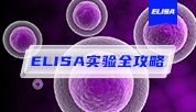 Elabscience 全系列 ELISA 试剂盒：覆盖全场景，实验更高效！