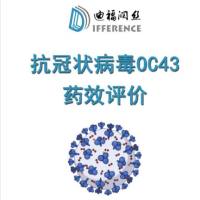 冠状病毒OC43体外细胞水平药效评价 EC50测定