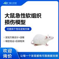 大鼠急性软组织损伤