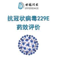 抗冠状病毒229E药物体外细胞毒性药效评价CC50检测